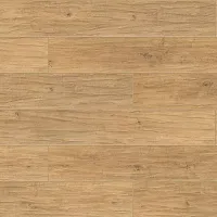 Седжвик - Интернет магазин «Napolich»