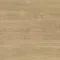 Дуб Блонд 04584 - Интернет магазин «Napolich»