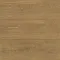 Дуб Золотой 04563 - Интернет магазин «Napolich»