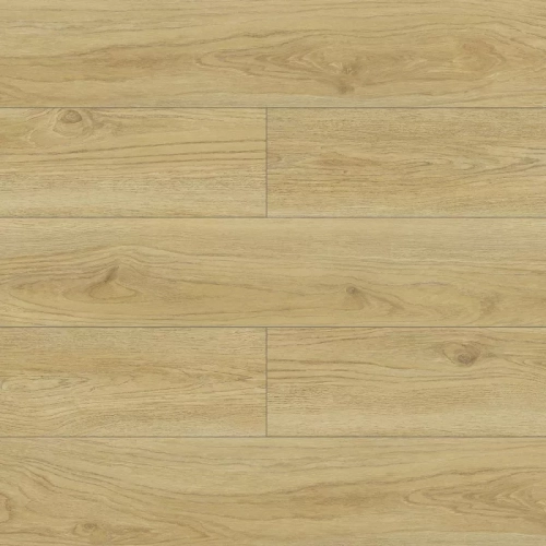 Oak legato D4528