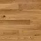 Oak Levante Lacquered - Интернет магазин «Napolich»
