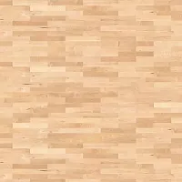 Клен Канадский Фаворит 548142 - Интернет магазин «Napolich»