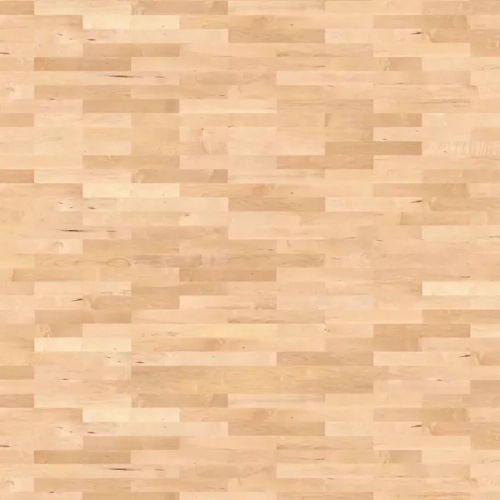 Клен Канадский Фаворит 548142