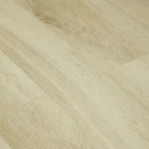 Дуб Дафферин 1207 Дуб Дафферин 1207