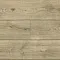 Дуб Морской 04567 - Интернет магазин «Napolich»