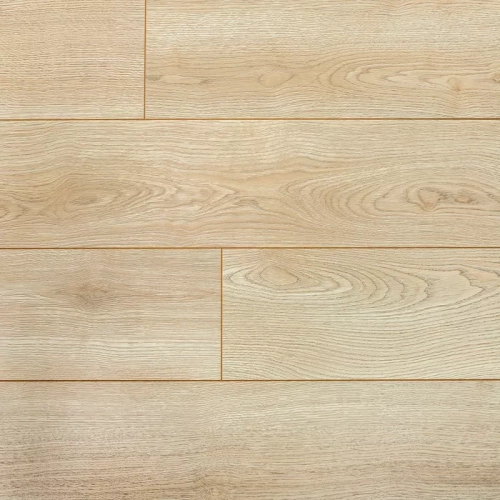 Дуб Белград / Belgrad 6202