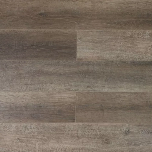 Дуб Дерби U1970 Дуб Дерби U1970