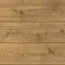 Дуб Карамельный 04569 - Интернет магазин «Napolich»