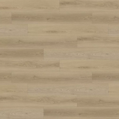 Дуб Идиль 6784