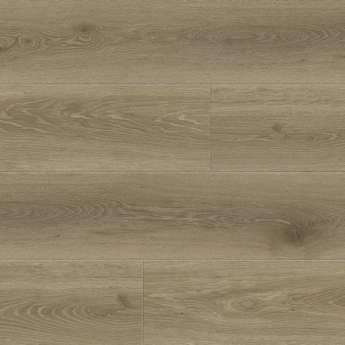 Дуб Бертран 8388