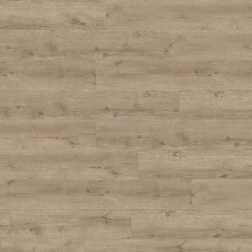 Oak Major 05829 Oak Major 05829