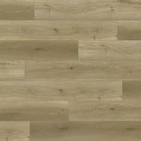 Дуб Селестра 8674 - Интернет магазин «Napolich»