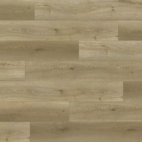 Дуб Селестра 8674