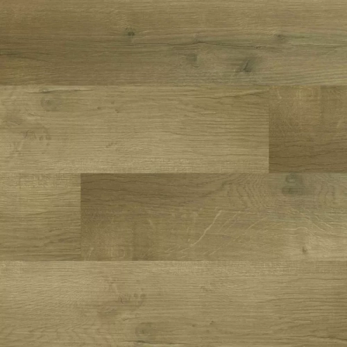 Дуб Янтарный Пляж 0-002