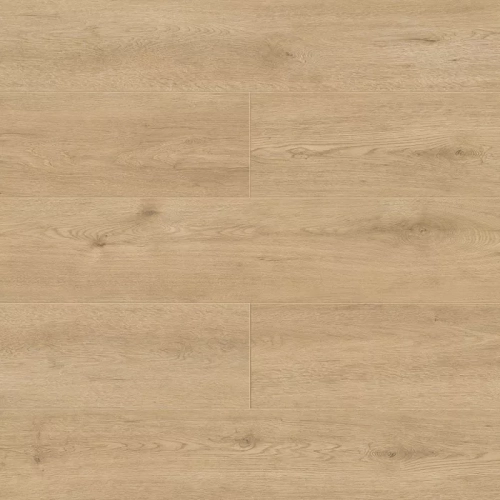 Dor 1006-6 Dor 1006-6