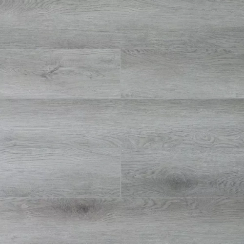 Дуб Дарвин U1963 Дуб Дарвин U1963