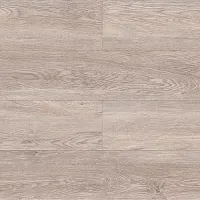 Дуб Гарднер