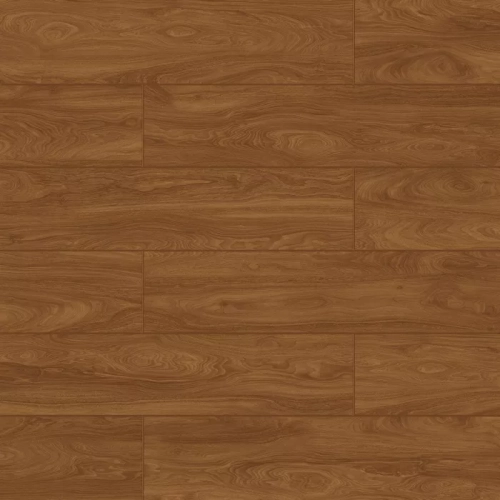 Дуб Филиос 719