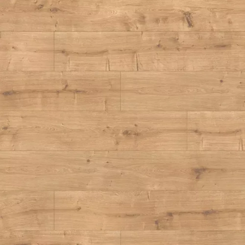 Дуб Эльба 1101260041