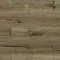 Дуб Эмполи LF101-22