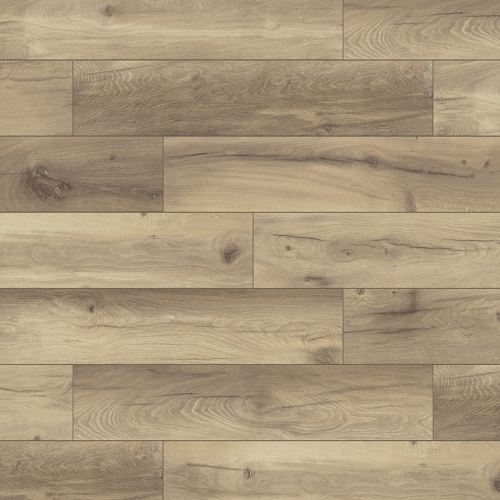 Дуб Аламос 1538