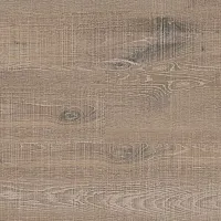 Japanese Oak Graggy - Интернет магазин «Napolich»