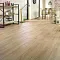 Дуб Пралин / Oak Praline 535 - Интернет магазин «Napolich»