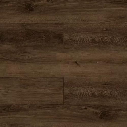 Cielo 1004-1201