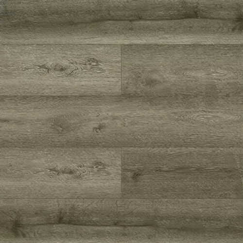 Foresta 1004-1301
