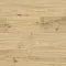 Дуб Риман 8335 - Интернет магазин «Napolich»