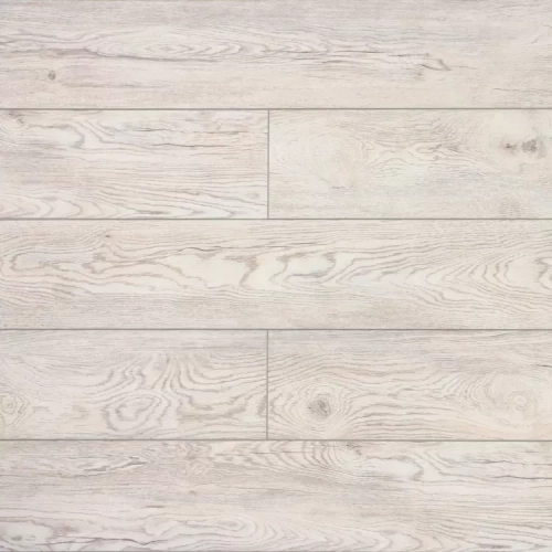 Дуб Каменный Дуб Каменный