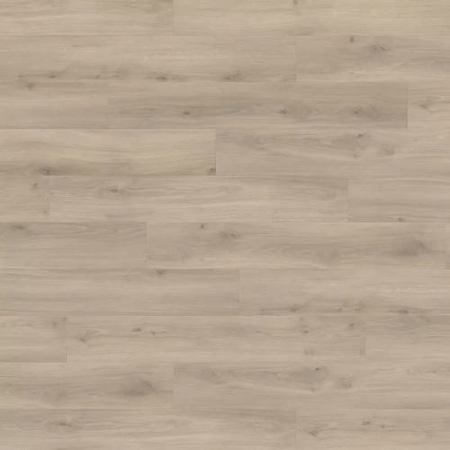 Дуб Эмилия Вельвет Серый 540271