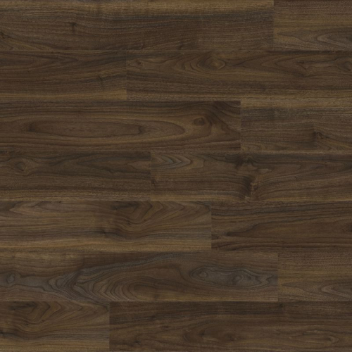 English Walnut 20896