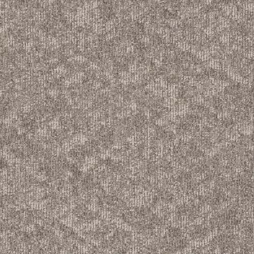Shade Beige Shade Beige