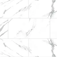Stark Tone 1009-2 - Интернет магазин «Napolich»