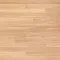 Дуб Кремовый Матовый ALX1023