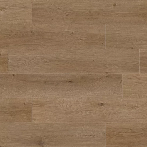 Дуб Саливан 7498 Дуб Саливан 7498